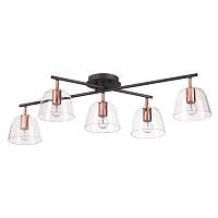 Люстра потолочная Lumion Moderni 4455/5C - цена и фото