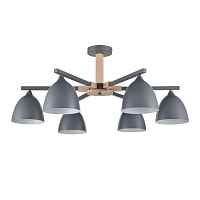 Потолочная люстра Lumion Moderni Colange 8096/6C - цена и фото Потолочная люстра Lumion Moderni Colange 8096/6C - цена и фото
