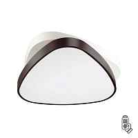 Потолочный светодиодный светильник Lumion Ledio Agatha 4510/72CL - цена и фото