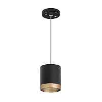 Lightstar Комплект со светильником Rullo RP348790 - цена и фото Lightstar Комплект со светильником Rullo RP348790 - цена и фото