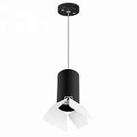 Подвесной светильник Lightstar RULLO HP16 RP437436 - цена и фото Подвесной светильник Lightstar RULLO HP16 RP437436 - цена и фото