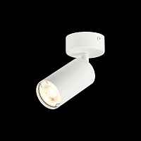 Потолочный светильник ST-Luce ST303.502.01 - цена и фото