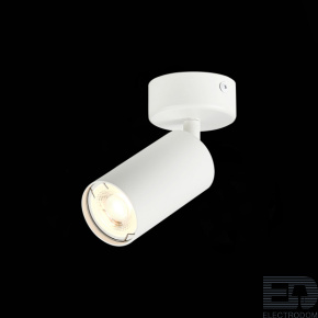 Потолочный светильник ST-Luce ST303.502.01 - цена и фото