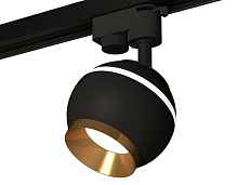 Комплект трекового однофазного светильника с подсветкой XT1102005 SBK/PYG черный песок/золото желтое полированное GU5.3 LED 3W 4200K (A2521, C1102, N7034) - цена и фото
