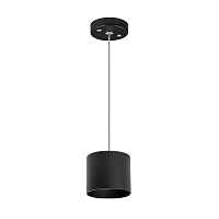 Lightstar Комплект со светильником Rullo RP3487 - цена и фото Lightstar Комплект со светильником Rullo RP3487 - цена и фото