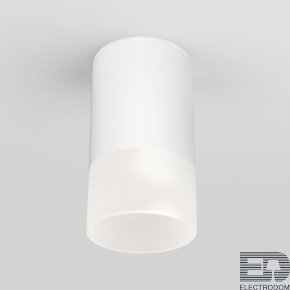 Уличный потолочный светильник Elektrostandard Light LED 35139/H - цена и фото