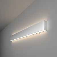 Настенный светодиодный светильник Elektrostandart 101-100-40-78 4200К матовое серебро - цена и фото