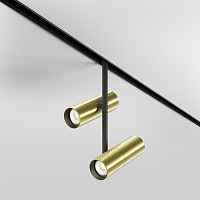 Трековый светильник Maytoni Elti Duo TR005-4-2X12W-DS-BBS - цена и фото Трековый светильник Maytoni Elti Duo TR005-4-2X12W-DS-BBS - цена и фото