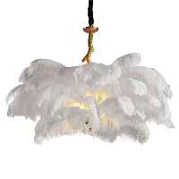 Светильник подвесной L'Arte Luce Feather Lamp L03408.02 - цена и фото Светильник подвесной L'Arte Luce Feather Lamp L03408.02 - цена и фото