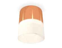 Комплект накладного светильника с акрилом XS8122011 Ambrella light - цена и фото