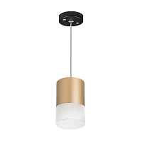 Lightstar Комплект со светильником Rullo RP349081 - цена и фото Lightstar Комплект со светильником Rullo RP349081 - цена и фото