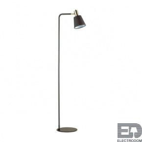 Торшер Lumion Moderni 3638/1F - цена и фото