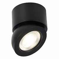 Светильник потолочный Черный LED 1*10W 3000K 850Lm Ra>90 38° IP20 D95xH96 180-240V ST654.432.10 - цена и фото