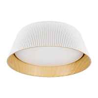Потолочный светильник Loft IT Evans 10224 White - цена и фото Потолочный светильник Loft IT Evans 10224 White - цена и фото