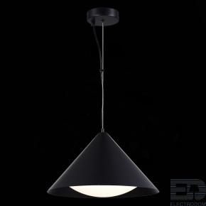 ST LUCE SL6501.413.01 Светильник подвесной ST-Luce Черный/Черный LED 1*12W 3000K - цена и фото