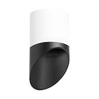 Lightstar Комплект со светильником Rullo R348687 - цена и фото Lightstar Комплект со светильником Rullo R348687 - цена и фото