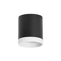 Lightstar Комплект со светильником Rullo R34873486 - цена и фото Lightstar Комплект со светильником Rullo R34873486 - цена и фото