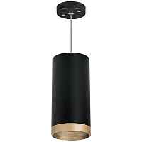 Lightstar Комплект со светильником Rullo RP648790 - цена и фото Lightstar Комплект со светильником Rullo RP648790 - цена и фото