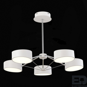 EVOLUCE SLE6005-502-05 Светильник потолочный Белый, Хром/Белый LED 5*10W - цена и фото