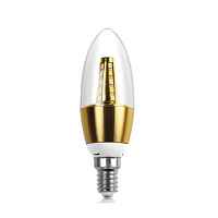 Лампочка LED E14 с позолотой Loft Concept 45.047 - цена и фото