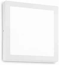 Настенно-потолочный светодиодный светильник Ideal Lux Universal D40 Square 240374 - цена и фото