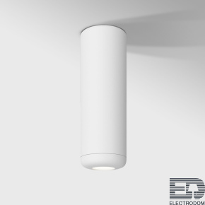 Светильник накладной светодиодный Onde 10W 4000K белый Elektrostandard 25045/LED - цена и фото