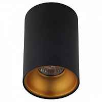 Накладной светильник Crystal Lux Clt 411 CLT 411C BL-GO - цена и фото Накладной светильник Crystal Lux Clt 411 CLT 411C BL-GO - цена и фото