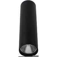 Kink Light Точечный светильник Фабио 08570-20,19 - цена и фото