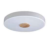 Потолочный светильник Loft IT Axel 10003/24 White - цена и фото Потолочный светильник Loft IT Axel 10003/24 White - цена и фото