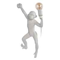 Настенный светильник Loft IT Monkey 10314W/B - цена и фото Настенный светильник Loft IT Monkey 10314W/B - цена и фото
