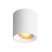 Накладной светильник Denkirs DK3040 DK3090-WBR - цена и фото Накладной светильник Denkirs DK3040 DK3090-WBR - цена и фото