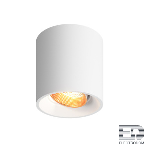 Накладной светильник Denkirs DK3040 DK3090-WBR - цена и фото