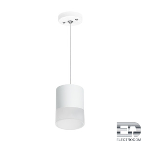 Lightstar Комплект со светильником Rullo RP348681 - цена и фото