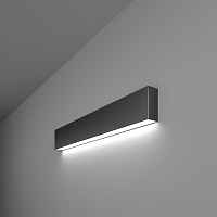 Настенный светодиодный светильник Elektrostandart 101-100-30-53 6500К черная шагрень
