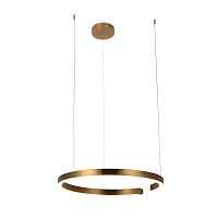 Подвесной светильник Loft IT Ring 10013L - цена и фото Подвесной светильник Loft IT Ring 10013L - цена и фото