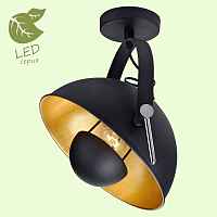 Спот Lussole Bollo GRLSP-9825 - цена и фото Спот Lussole Bollo GRLSP-9825 - цена и фото