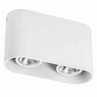 Накладной светильник Lightstar RULLO 2xHP16 214866 - цена и фото Накладной светильник Lightstar RULLO 2xHP16 214866 - цена и фото