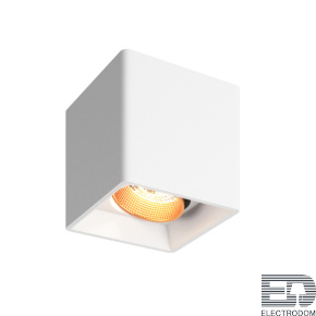 Накладной светильник Denkirs DK3030 DK3080-WBR - цена и фото