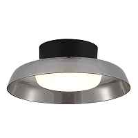 SL6019.412.01 Светильник потолочный ST-Luce Черный/Дымчатый, Белый LED 1*36W 3000K - цена и фото