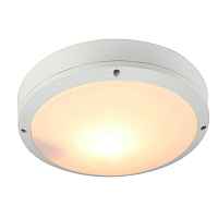 Уличный светильник потолочный Arte Lamp City A8154PF-2WH - цена и фото Уличный светильник потолочный Arte Lamp City A8154PF-2WH - цена и фото