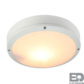 Уличный светильник потолочный Arte Lamp City A8154PF-2WH - цена и фото