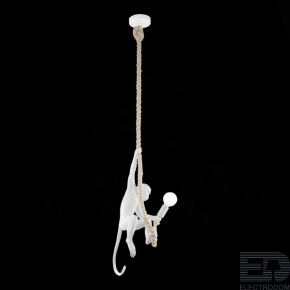 Светильник подвесной Evoluce TENATO SLE115103-01 - цена и фото