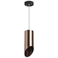 Lightstar Комплект со светильником Rullo RP43030 - цена и фото Lightstar Комплект со светильником Rullo RP43030 - цена и фото