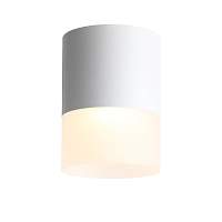 Светильник накладной ST Luce Ottu ST100.542.15 - цена и фото