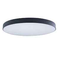 Потолочный светильник Loft IT Axel 10002/48 Black - цена и фото Потолочный светильник Loft IT Axel 10002/48 Black - цена и фото