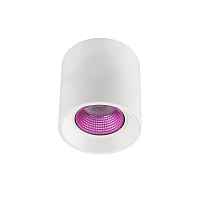 Накладной светильник Denkirs DK3040 DK3090-WH+PI - цена и фото Накладной светильник Denkirs DK3040 DK3090-WH+PI - цена и фото