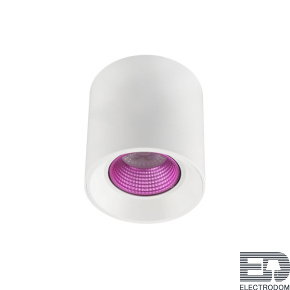 Накладной светильник Denkirs DK3040 DK3090-WH+PI - цена и фото
