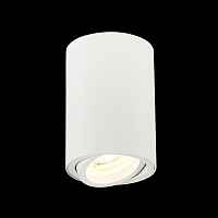Потолочный светильник ST-Luce Torus ST108.507.01 - цена и фото Потолочный светильник ST-Luce Torus ST108.507.01 - цена и фото
