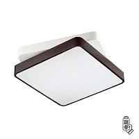 Потолочный светодиодный светильник Lumion Ledio Agatha 4511/72CL - цена и фото