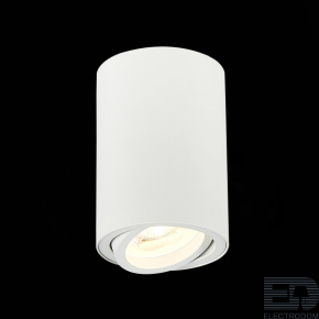 Потолочный светильник ST-Luce Torus ST108.507.01 - цена и фото